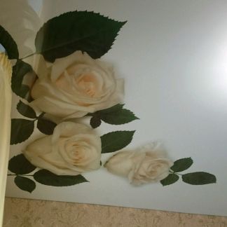 Натяжные потолки в ейске и районе  Армавир