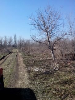 Участок 5.1 сот. (ИЖС)  - купить на сайте объявлений Армавир онлайн