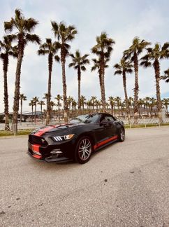 Аренда кабриолета Ford Mustang - купить на сайте объявлений Сочи онлайн