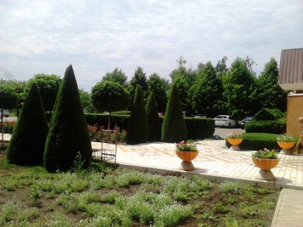Стрижка кустарников  - купить на сайте объявлений Армавир онлайн