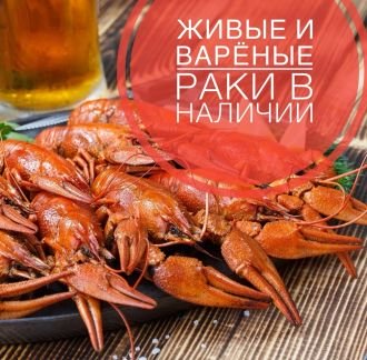 Раки  Армавир