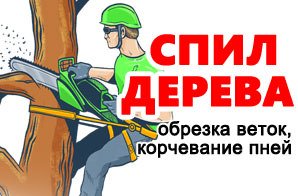 Спил деревьев, вывоз веток, мусора  - купить на сайте объявлений Армавир онлайн