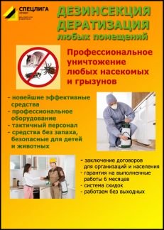Уничтожение насекомых, грызунов, дезинфекция  - купить на сайте объявлений Армавир онлайн