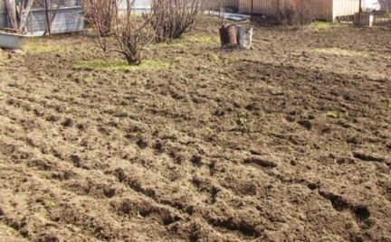 Участок 10 сот. (ИЖС)  - купить на сайте объявлений Армавир онлайн