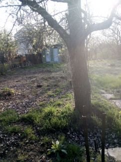 Дача 24 м кв. на участке 6 сот.  - купить на сайте объявлений Армавир онлайн